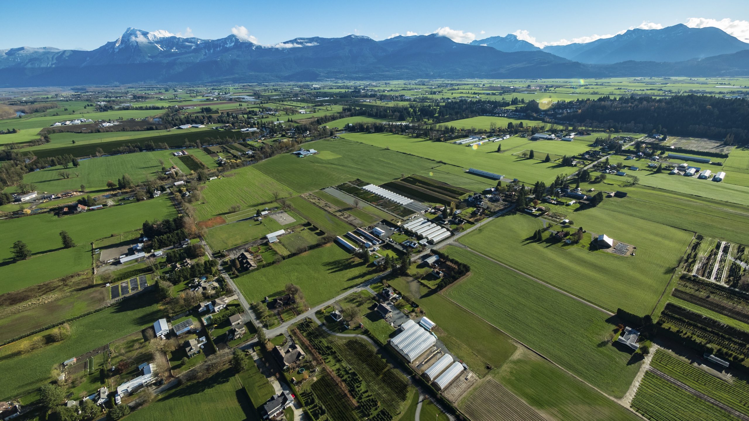 Birds eye view of green crops and mountains in the background.