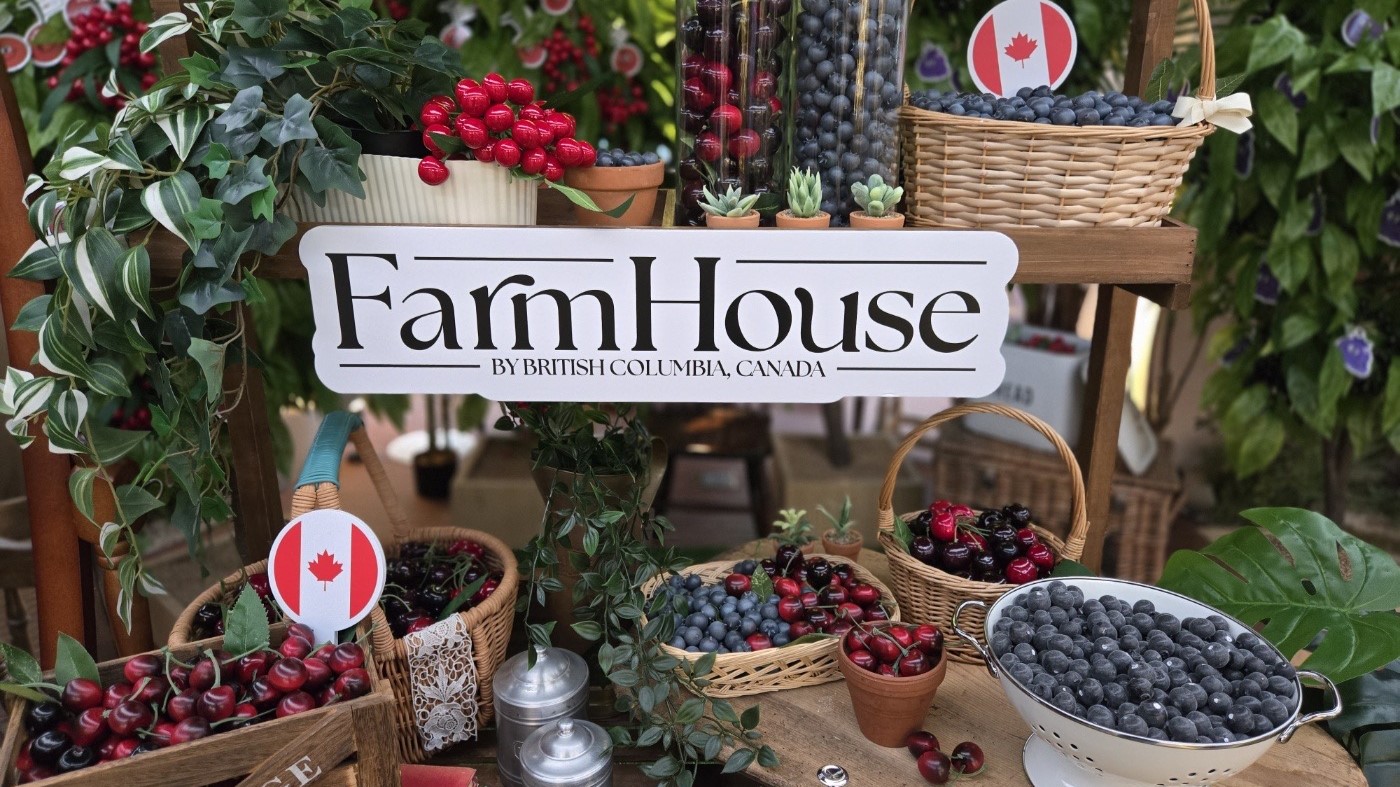 Close-up of table display of BC cherries and blueberries.