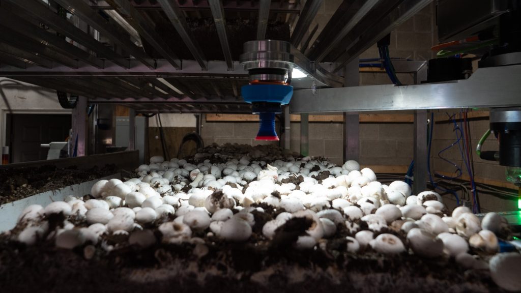 Machine picking up mushroom in an indoor facility.