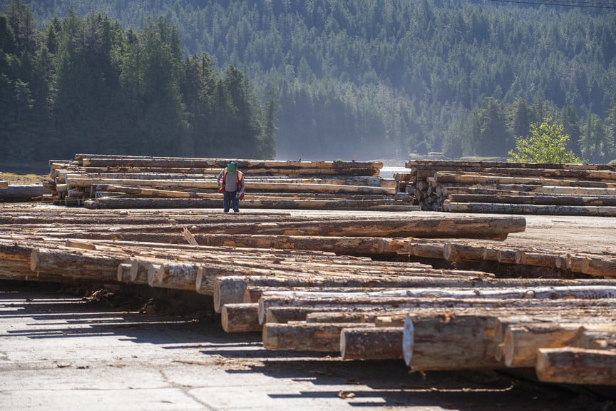 Wide shot of worker examining log pile in Prince Rupert.